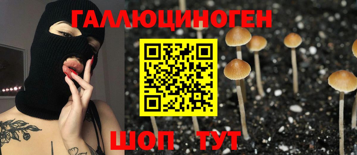 Туапсе  Галлюциногенные грибы Psilocybe  Псилоцибиновые грибы Psilocybine cubensis  Вход с VPN 